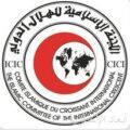 اللجنة الإسلامية للهلال الدولي تُدين انتهاكات الاحتلال الإسرائيلي بحق الشعب الفلسطيني