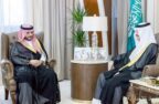 أمير الشرقية يستقبل مساعد وزير الموارد البشرية والتنمية الاجتماعية