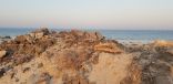 «عدسة أبعاد» ترصد أكوام مخلفات البناء على بعد أمتار من ساحل الخفجي