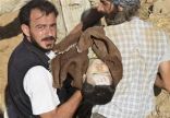 المعارضة: استمرار العثور على جثث بعد هجوم كيماوي مزعوم في سوريا