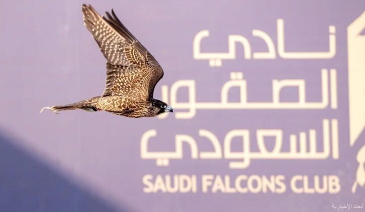 المنطقة الشرقية تستضيف كأس نادي الصقور السعودي 2025