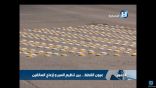 «الإخبارية» تعرض تقريراً عن «عيون القطط» في الخفجي