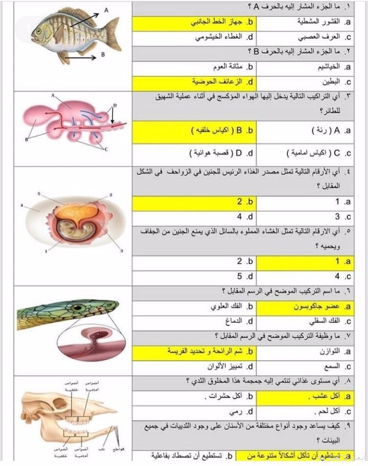 متى اختبار التحصيلي 1443