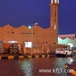 دجاج مشوي بالأعشاب