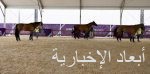 على مدى يومين.. الرياض تستقبل 60 جوادًا للمشاركة في بطولة كأس العالم لقفز الحواجز والترويض