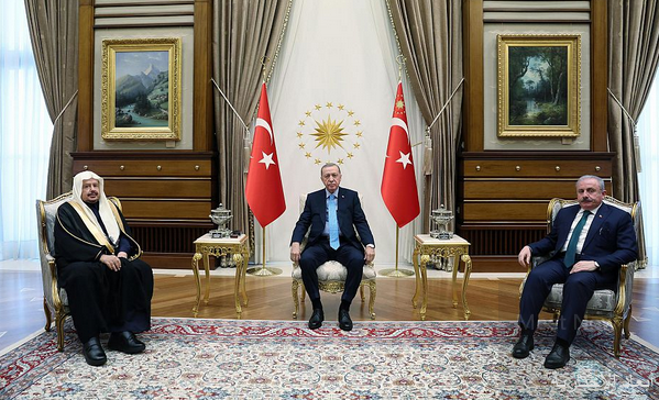 رئيس جمهورية تركيا يستقبل رئيس مجلس الشورى