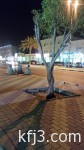 انفجار ضخم فى كوبانى وسط اشتباكات داعش والأكراد