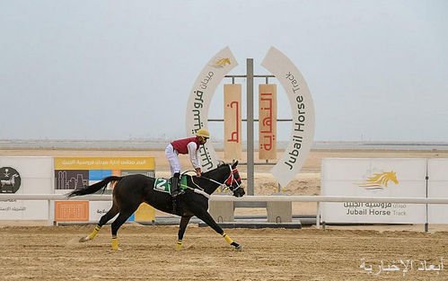 ميدان فروسية الجبيل يقيم سباقه السابع للموسم الحالي ١٤٤٤هـ